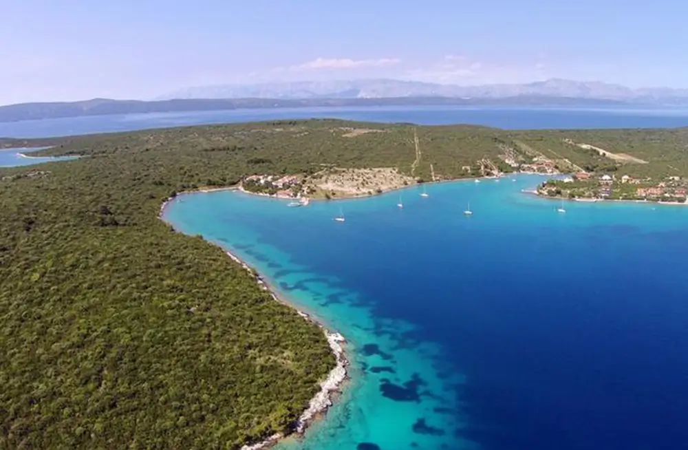 Cove Loviste