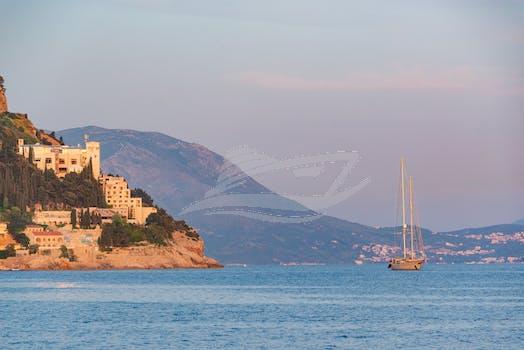 Pexels Photo 16922332